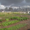 Stormy Farm 2010