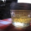 2010 Honey Jar