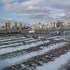 winter farm 2010