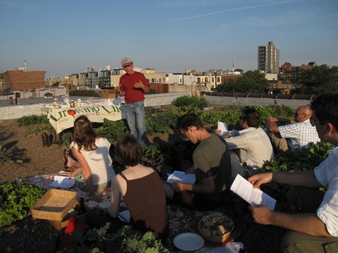Ross Conrad at Eagle Street Rooftop Farm