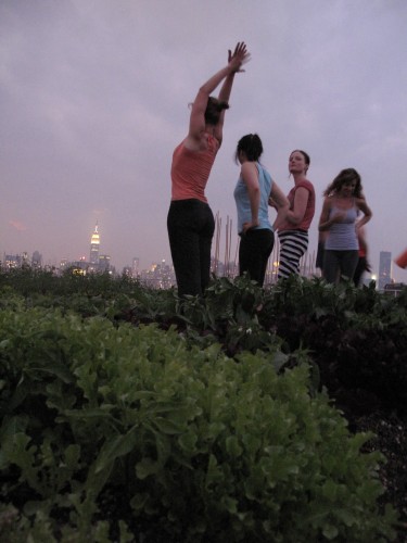 solstice salutation