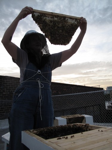 Brooklyn honey