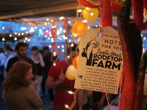 Rooftop Farm Hot Cayennes